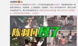 李婉君爆料视频大全集在线观看,揭秘幕后真相